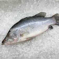 Siakap